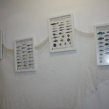 Apto 1103 Mesa Del Mar Apartman Puerto de la Madera