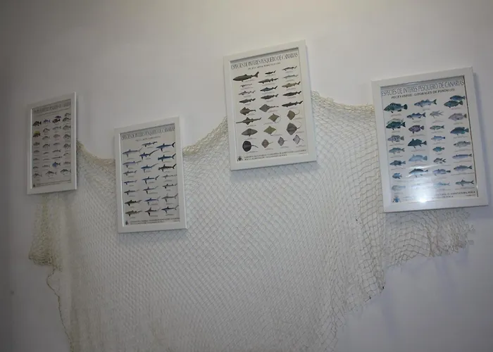 Apto 1103 Mesa Del Mar Apartmán Puerto de la Madera